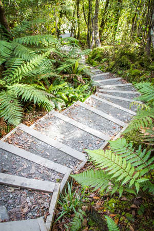 Landscaping in the gardenの写真素材