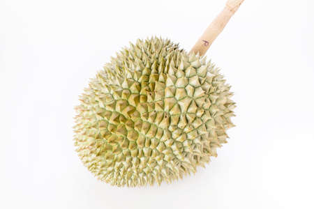 Close up of peeled durian isolated on white background.の写真素材