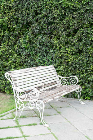 A white chair in a green gardenの写真素材