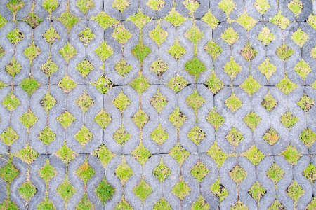 concrete and grass background