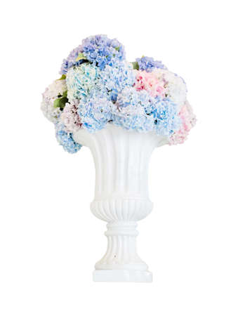 flower in vase isolate on white background