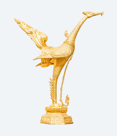 beautiful golden swan isplated on white backgroundの写真素材