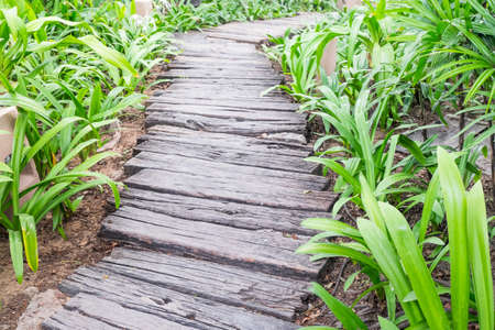Walk in the gardenの写真素材