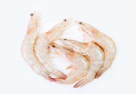Top view of Fresh Gulf Shrimpsの写真素材