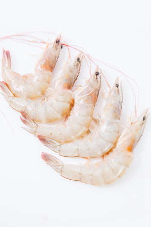 Top view of Fresh Gulf Shrimpsの写真素材