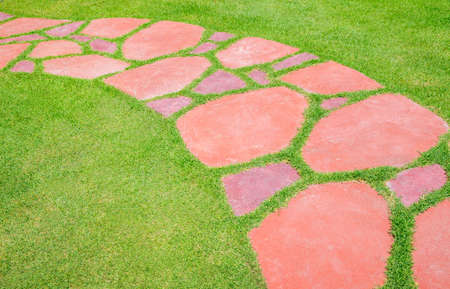 Walkway on green grassの写真素材