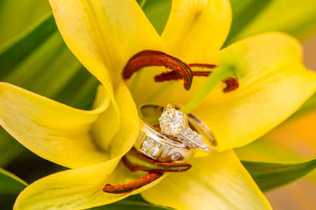 Wedding rings on flowerの写真素材