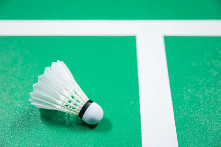 shuttlecock in stadiumの写真素材