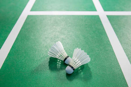 shuttlecock in stadiumの写真素材
