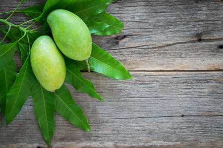 green mango on wooden backgroundの写真素材