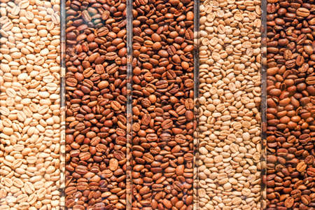 mix coffee bean in box for saleの写真素材