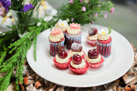 mini cupcake with whipped cream and cherry decoralated on dish in wedding partyの写真素材