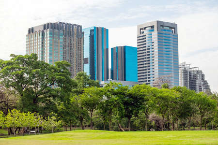 business building near parkの写真素材