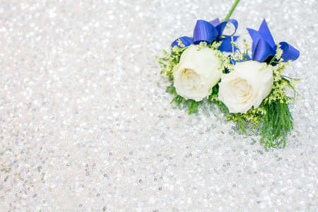 white roses on white backgroundの写真素材