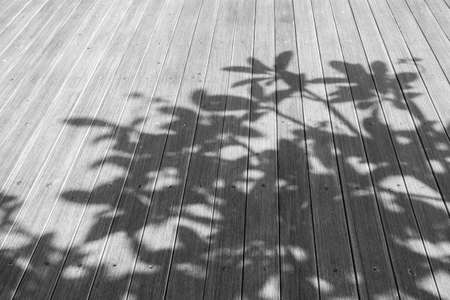 shadow of leaves on wooden floorの写真素材