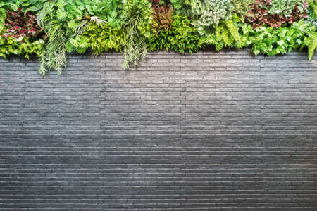 Brick Wall and Flowersの写真素材