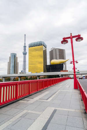 Tokyo, Japan skyline on the Sumida River on cloudy day