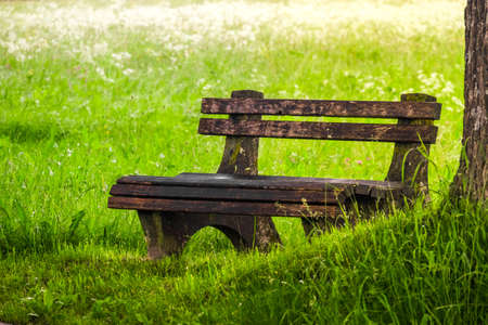 Blank Old wooden bench in  area of the garden or the park, outdoorの写真素材