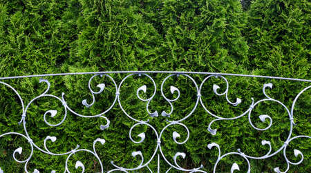 metal decorative fenceの写真素材