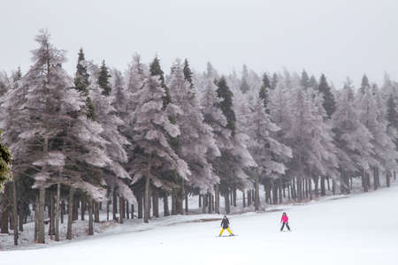 ski resort in japanのeditorial素材