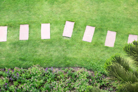 Stone pathway in gardenの写真素材