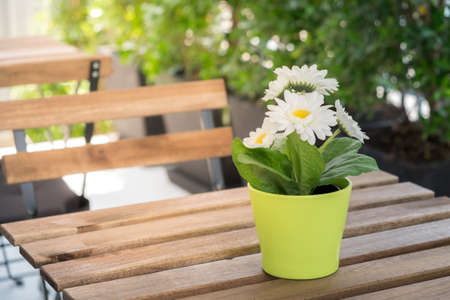 Artificial flower in pot for decorationの写真素材