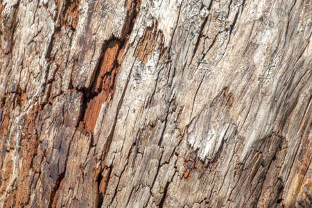 cracked wood for background