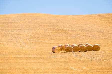 Beautiful landscape. Agricultural field. Round bundles of dry grass in the field against the blue sky. Tuscanyの写真素材