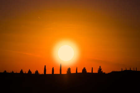 Silhouettes of trees against the sky during a tropical sunset.の写真素材