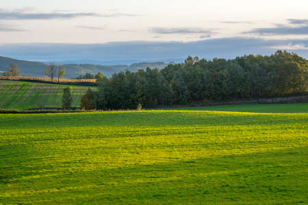 lanscapes green fields Biei in Japanの写真素材