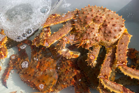 crab on the market for sale