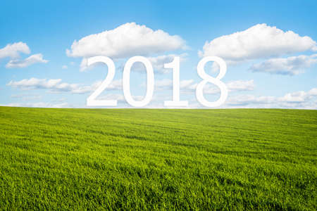 2018 year on green grass, blue sky background