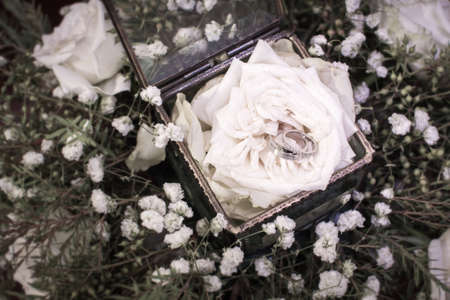Set of wedding rings in white rose taken closeupの写真素材