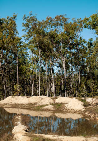 Typical Australian scene gum trees water landscapeの写真素材