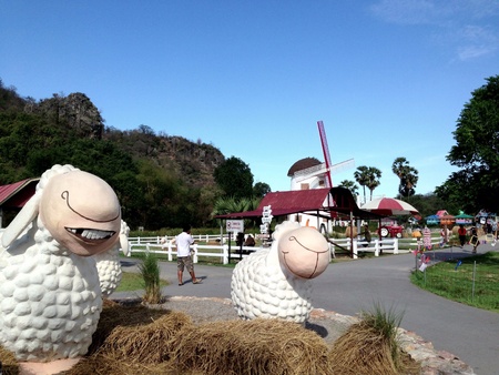 swisssheep farm hauhinの素材