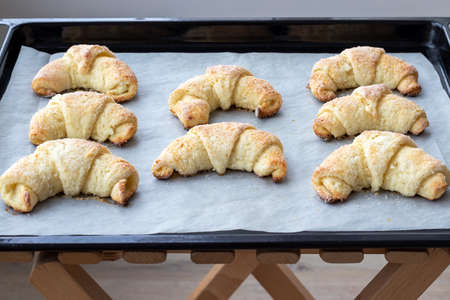 Baked croissants from a cottage cheese dough with sugar on a baking sheet on a wooden stool just taken out of the oven. Tea snack for breakfast. The process of making curd bagels or croissantsの写真素材