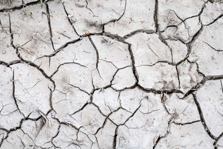 Gray land background cracked during drought with a small amount of dry grassの写真素材