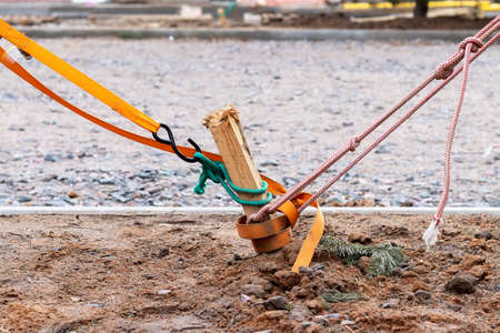 Ropes and cables with hooks are wrapped around a wooden peg stuck into the ground against a stone walkway. Protecting young trees from breaking due to strong windの写真素材