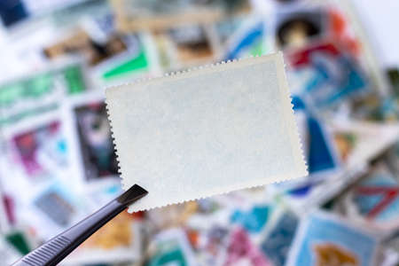 Blank postage stamp in tweezers against blurred background collection of multicolored postage stamps of different countries. Selective focusの写真素材
