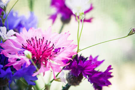 Bouquet of beautiful purple, pink and white wildflowersの写真素材
