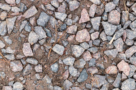 Wet moist ground with lots of granite stones and dry pine needles. Natural gravel texture background...