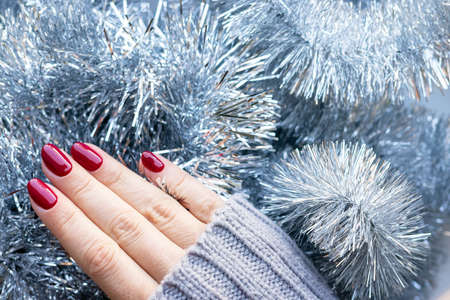 Female hands in a gray knitted sweater with a beautiful glossy manicure - burgundy, dark red, cherry...