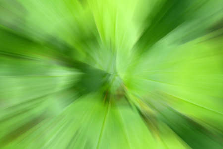 Geometric green blurred gradient background. Abstract colorful explosion effect. Centric motion pattern. Mixed texture. Color burstの写真素材
