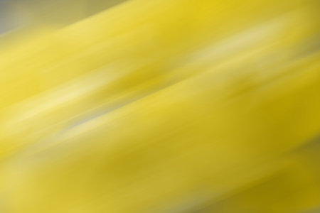 Yellow blurred gradient background. Mixed motion texture. Abstract diagonal lines wallpaperの写真素材
