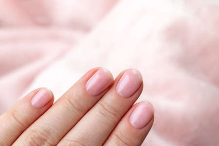 Female hands with beautiful manicure - pink nude nails on pale pink background, closeup with copy space. Selective focusの写真素材