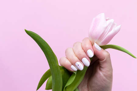 Female hand with beautiful manicure - white ivory oval nails with tulip flower on pink paper background, closeupの写真素材