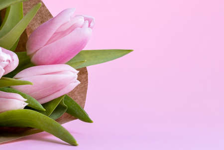 Beautiful delicate bouquet of tulip flowers in craft wrapping paper on pink background with copy spaceの写真素材