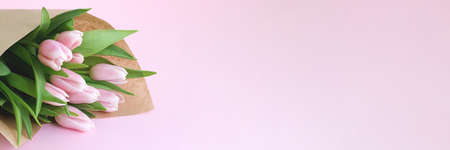 Beautiful delicate bouquet of tulip flowers in craft wrapping paper on pink background, wide banner with copy spaceの写真素材
