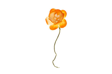 Orange paper flower for scrapbooking, isolated on white background. Scrapbook elementの写真素材