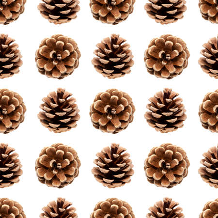 Dry pine cone seamless pattern isolated on white background. Symbol of Christmas and New Year....